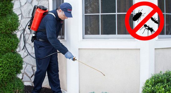 Üçkuyular Akrep İlaçlama böcek ilaçlama ve haşere kontrolü — ilaclama-tr.com